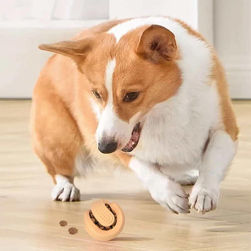 Sturdy Mobius Ball Dog Toy – Durable Food Dispenser & Training Chew Toy for All Dogs