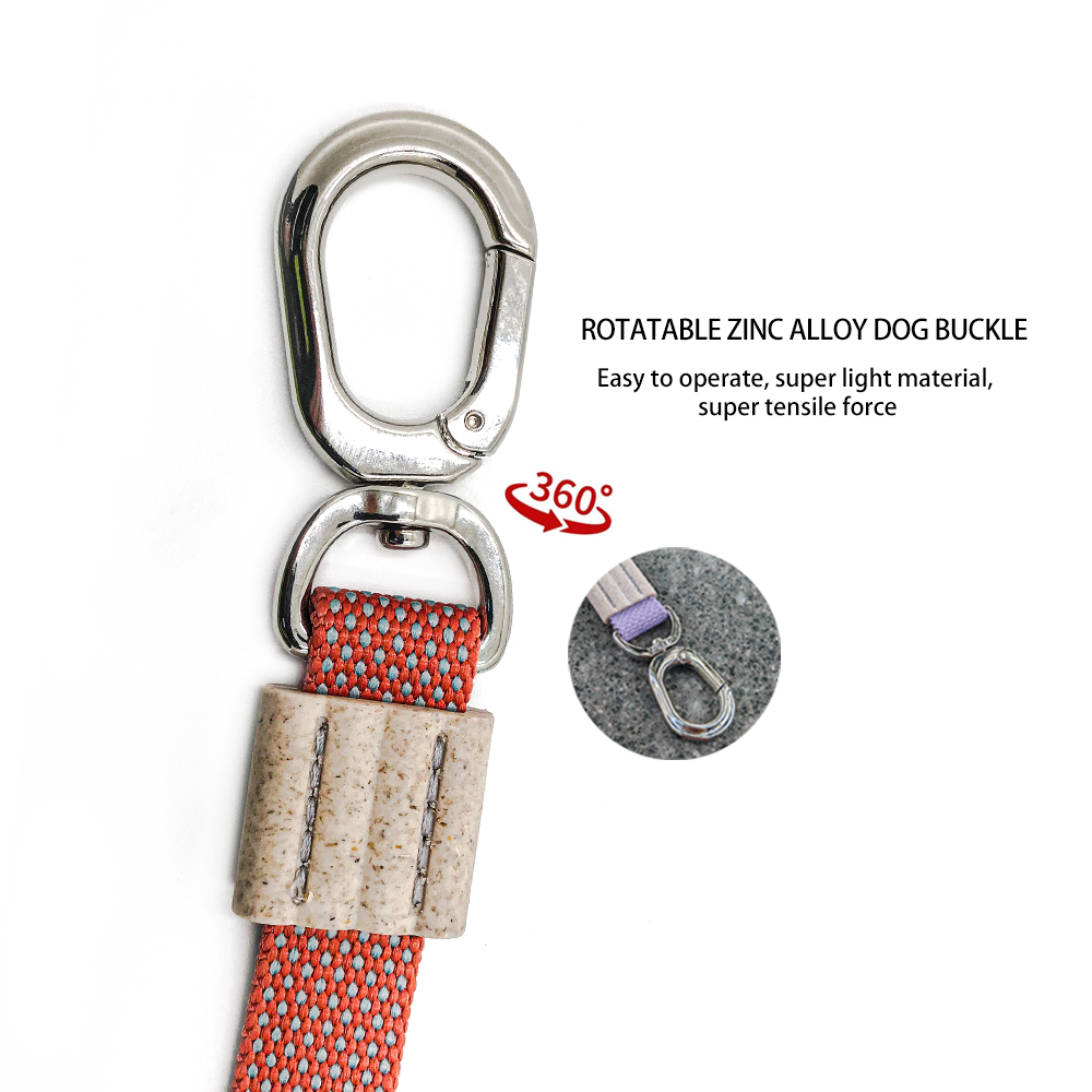 No-Pull Shock Absorbing Dog Leash with Elastic Bungee – Heavy Duty Rope Training Lead for Medium & Large Dogs, Padded Handle for Comfortable Grip