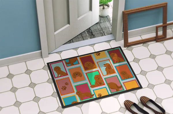 Aeelleea Ruby Cavalier Spaniel Doormat 18x27 Non Slip Washable