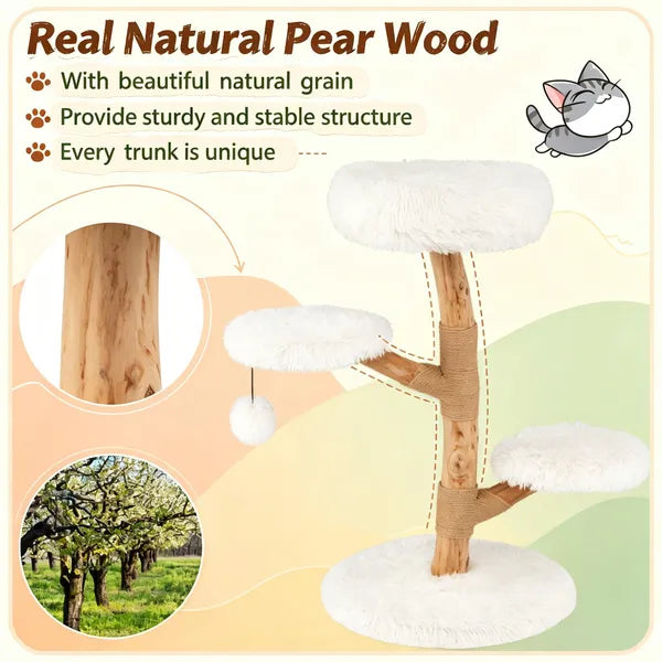 Pear Wood Cat Tree, Cat Perch with Natural Sisal Scratching Post, Modern Pet Cat Furniture for Indoor Cats
