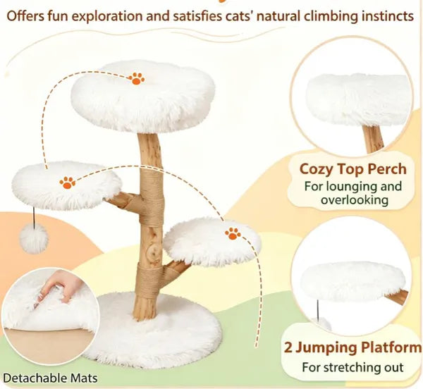 Pear Wood Cat Tree, Cat Perch with Natural Sisal Scratching Post, Modern Pet Cat Furniture for Indoor Cats