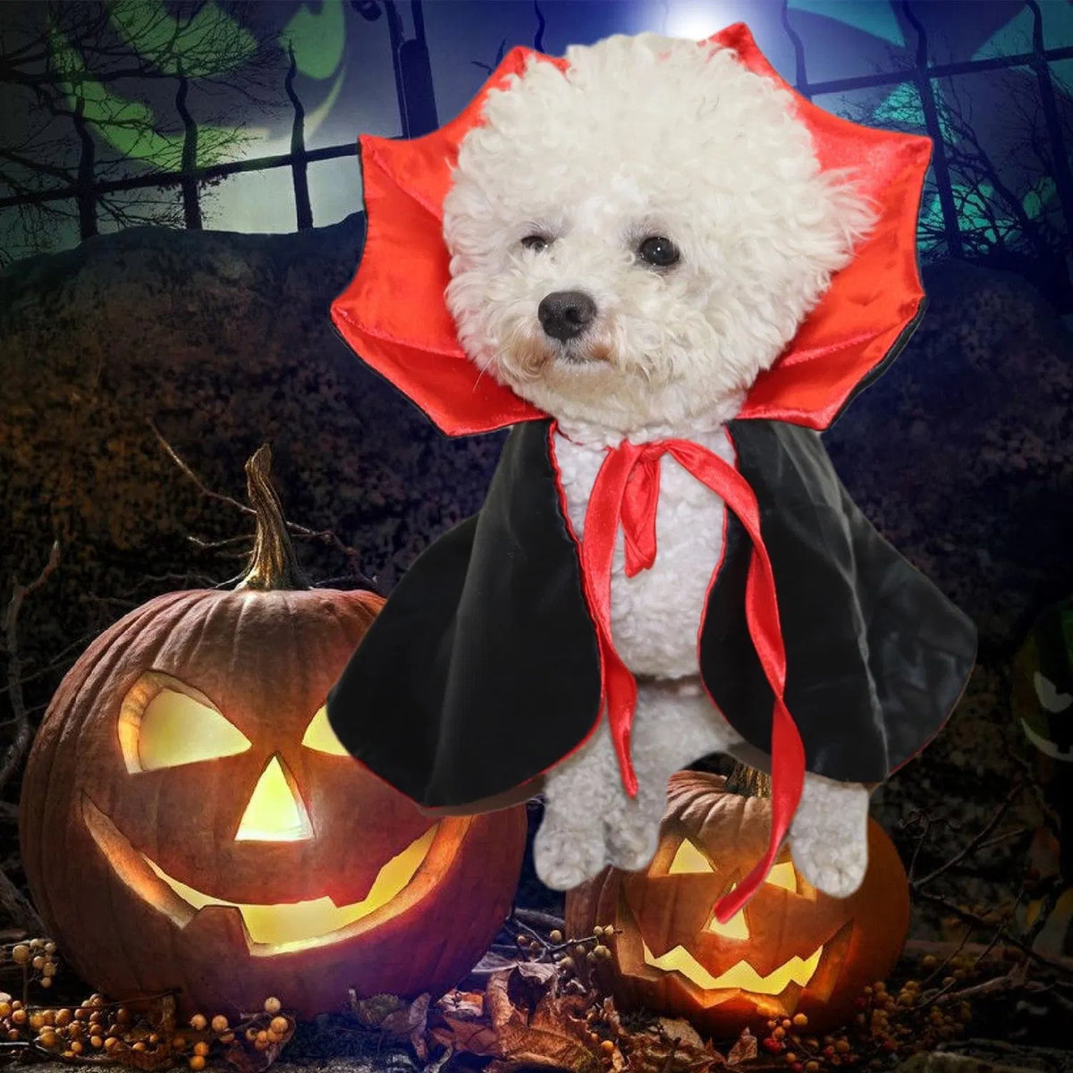 Pet Halloween Vampire Costume, Red & Black Dracula Cape with Collar for Dogs & Cats, Halloween Party Cosplay Outfit