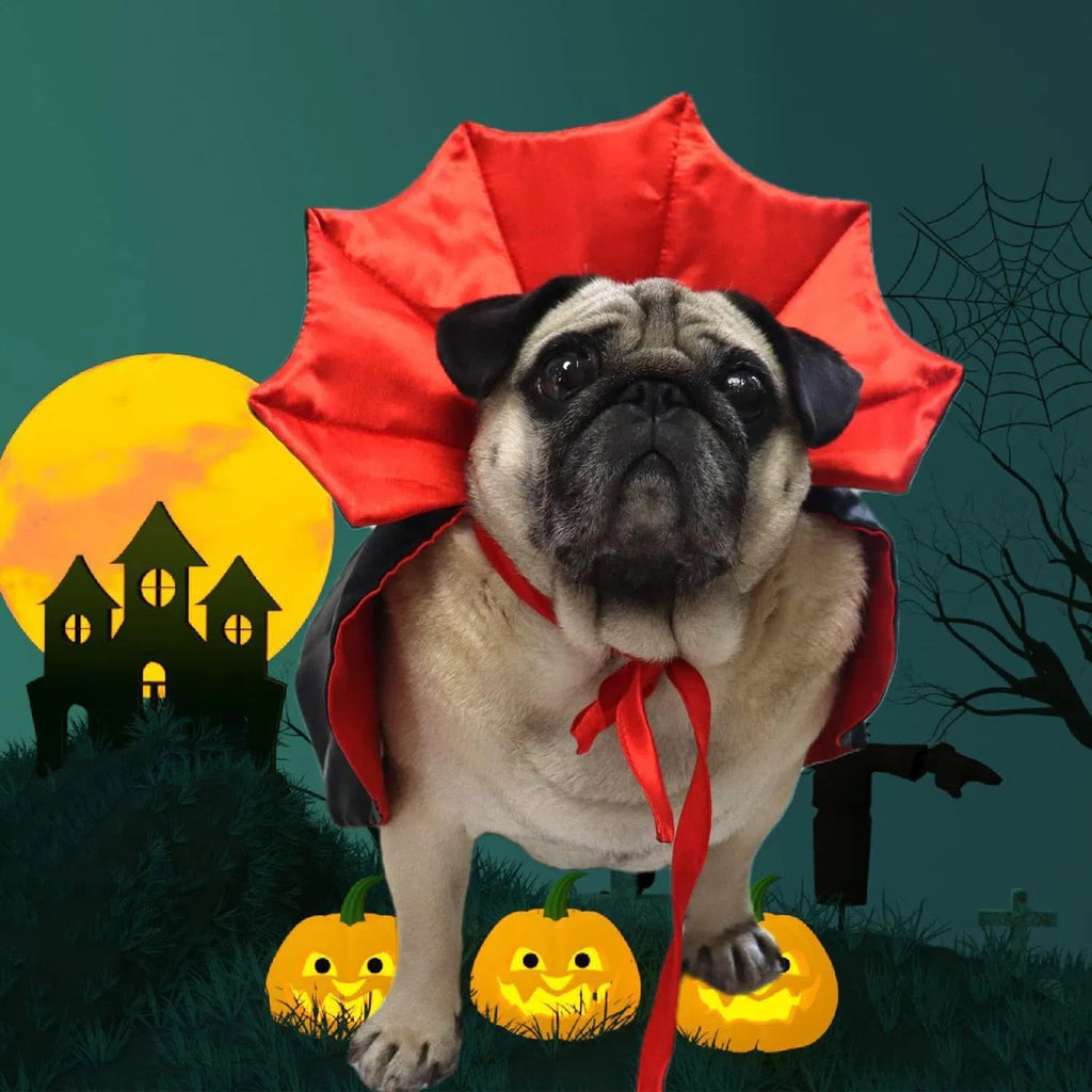 Pet Halloween Vampire Costume, Red & Black Dracula Cape with Collar for Dogs & Cats, Halloween Party Cosplay Outfit