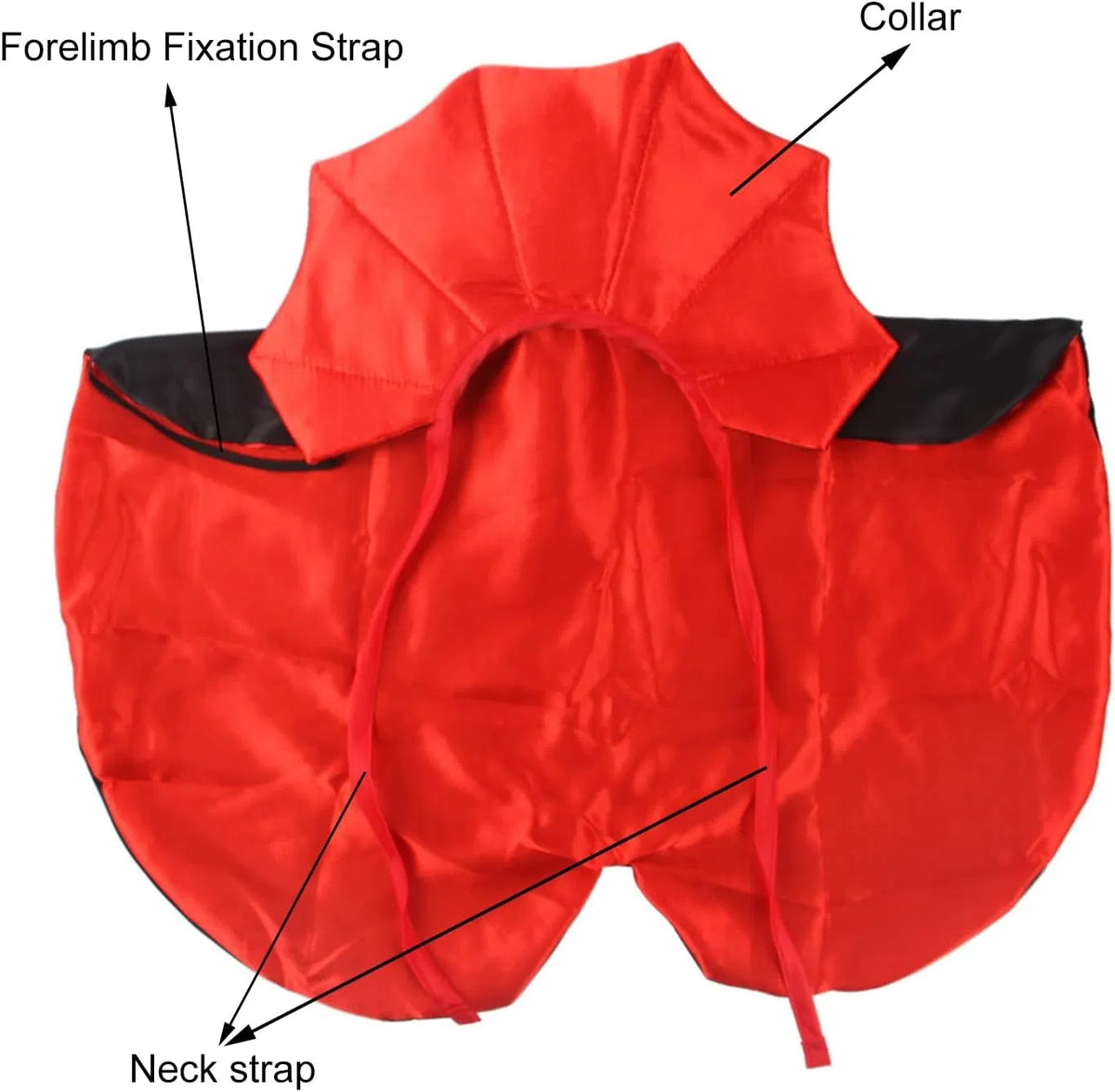 Pet Halloween Vampire Costume, Red & Black Dracula Cape with Collar for Dogs & Cats, Halloween Party Cosplay Outfit