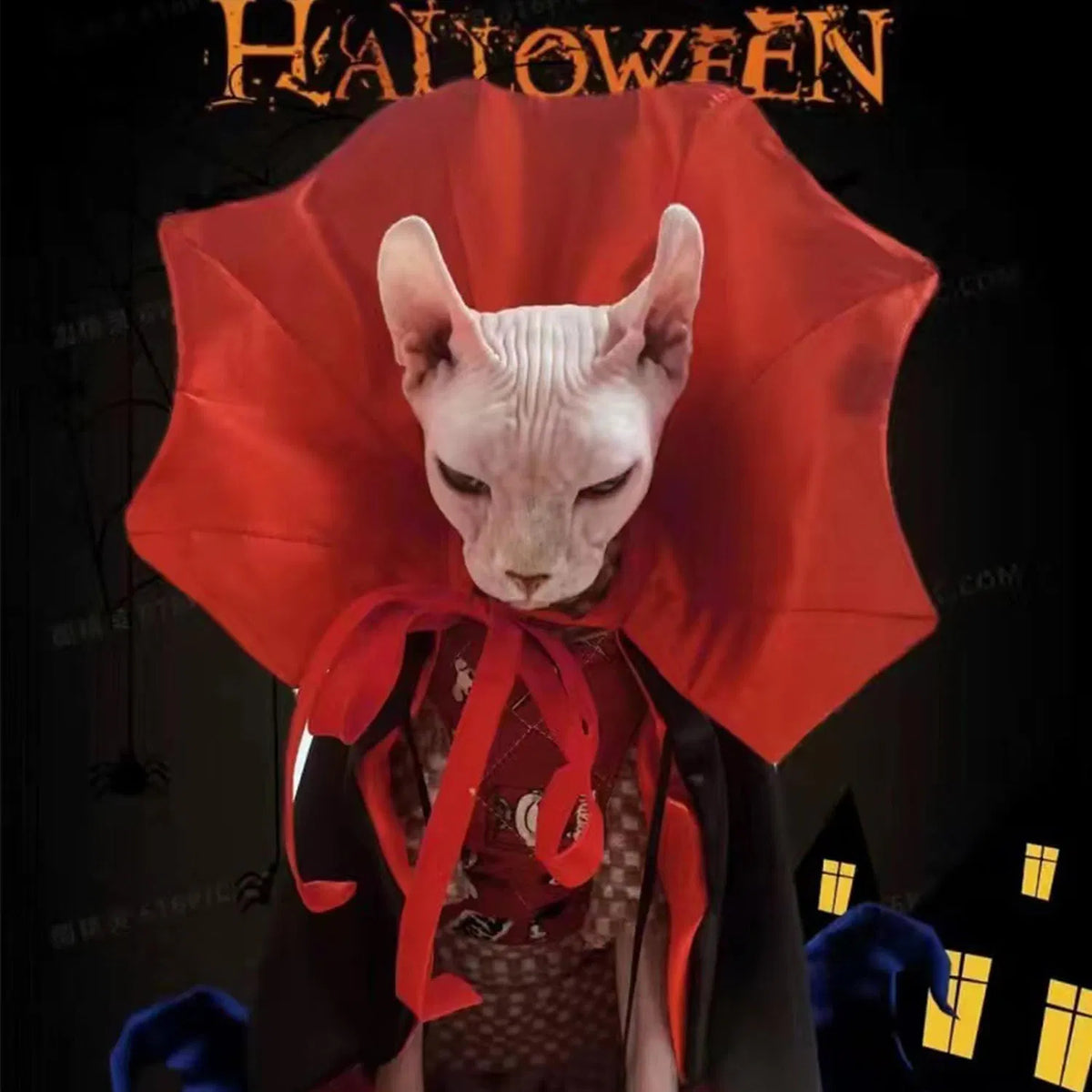 Pet Halloween Vampire Costume, Red & Black Dracula Cape with Collar for Dogs & Cats, Halloween Party Cosplay Outfit