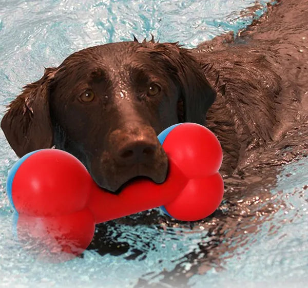 Bone-Shaped Dog Chew Toy, Floating Fetch Toy for Indoor & Outdoor Water Play, Red & Blue