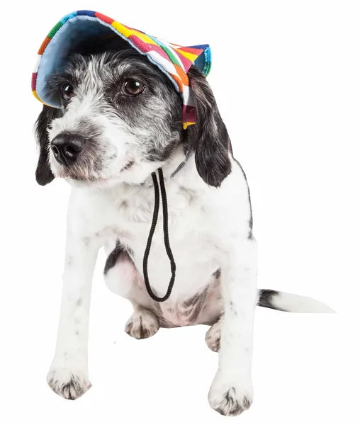 Rainbow Stripe Dog Sun Hat, UV Protection Pet Cap with Adjustable Chin Strap, Water Resistant, Machine Washable, Multiple Sizes for Outdoor Walking