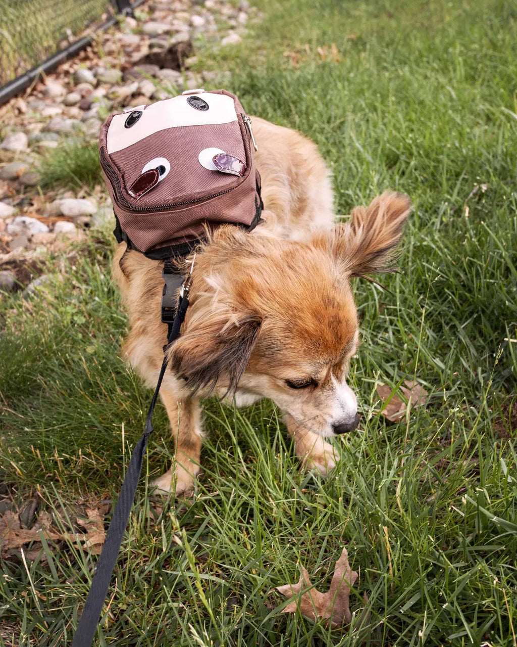 Dog Harness Backpack with Large Storage Pocket, Adjustable Straps, Breathable Mesh & Leash Ring - Brown