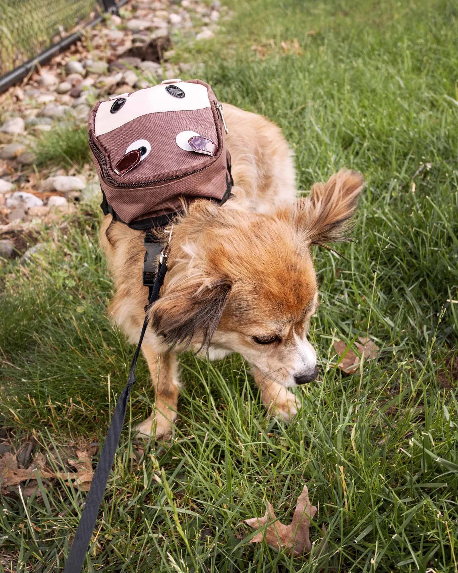 Dog Harness Backpack with Large Storage Pocket, Adjustable Straps, Breathable Mesh & Leash Ring - Brown