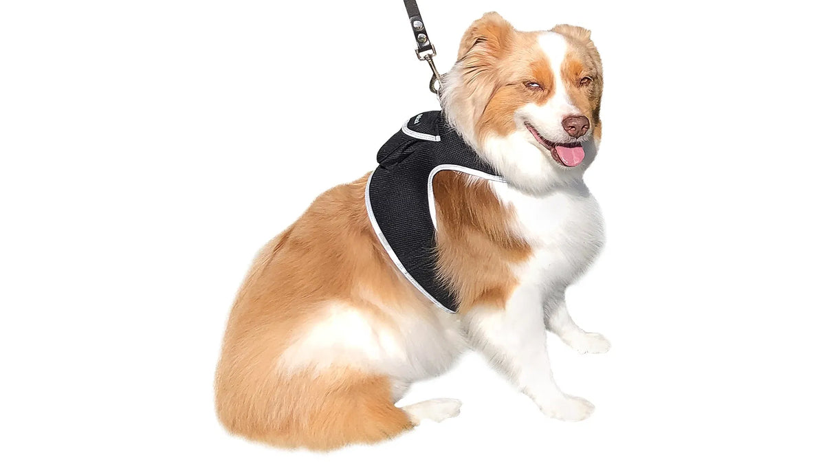 AEELLEEA Real-Time GPS Dog Tracker Harness, IP66 Waterproof, Lightweight 6 oz, Geo-Fence & Battery Alerts, Dog & Cat, Size L, Plan Required