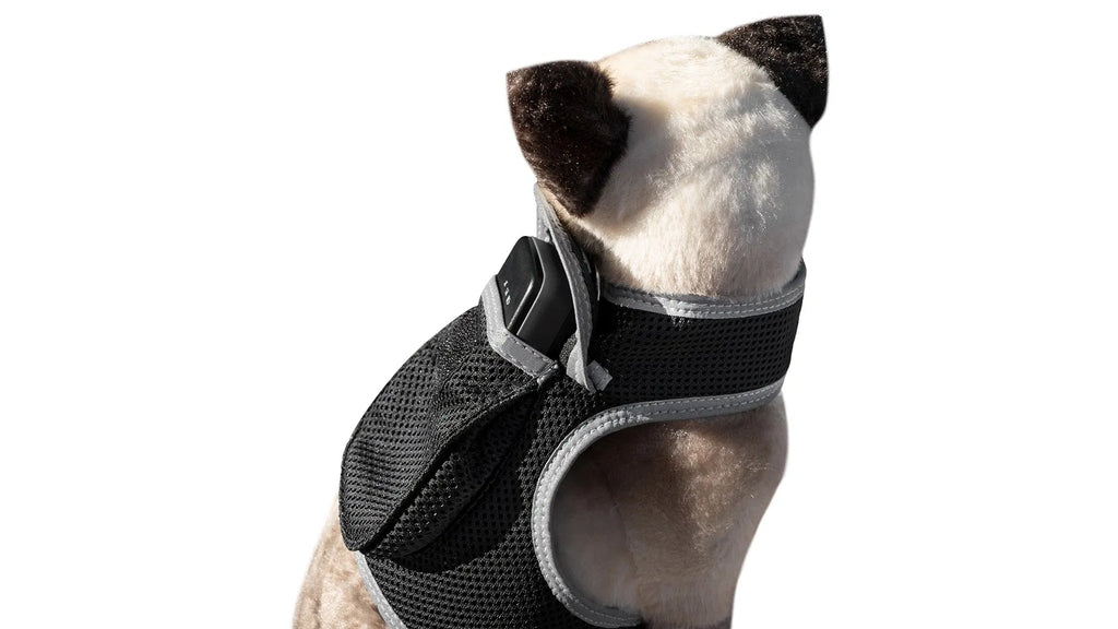 AEELLEEA Real-Time GPS Dog Tracker Harness, IP66 Waterproof, Lightweight 6 oz, Geo-Fence & Battery Alerts, Dog & Cat, Size L, Plan Required