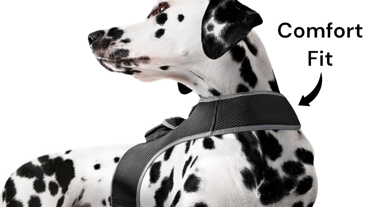 AEELLEEA Real-Time GPS Dog Tracker Harness, IP66 Waterproof, Lightweight 6 oz, Geo-Fence & Battery Alerts, Dog & Cat, Size L, Plan Required