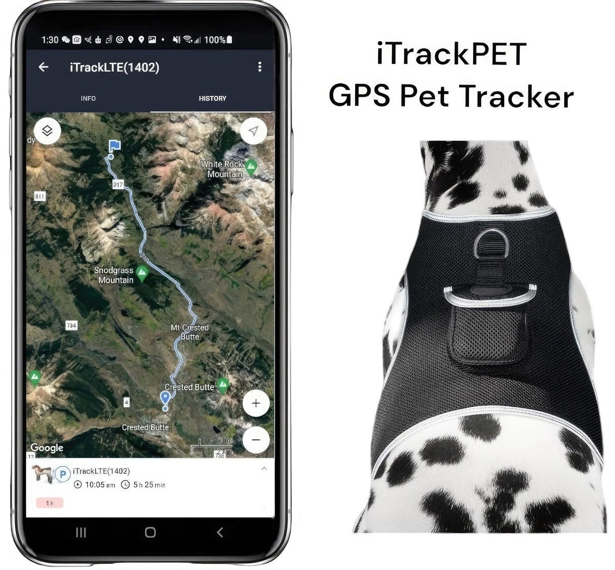 AEELLEEA Real-Time GPS Dog Tracker Harness, IP66 Waterproof, Lightweight 6 oz, Geo-Fence & Battery Alerts, Dog & Cat, Size L, Plan Required