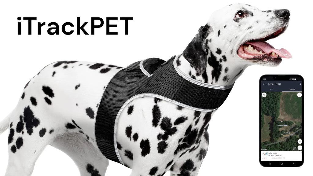 AEELLEEA Real-Time GPS Dog Tracker Harness, IP66 Waterproof, Lightweight 6 oz, Geo-Fence & Battery Alerts, Dog & Cat, Size L, Plan Required