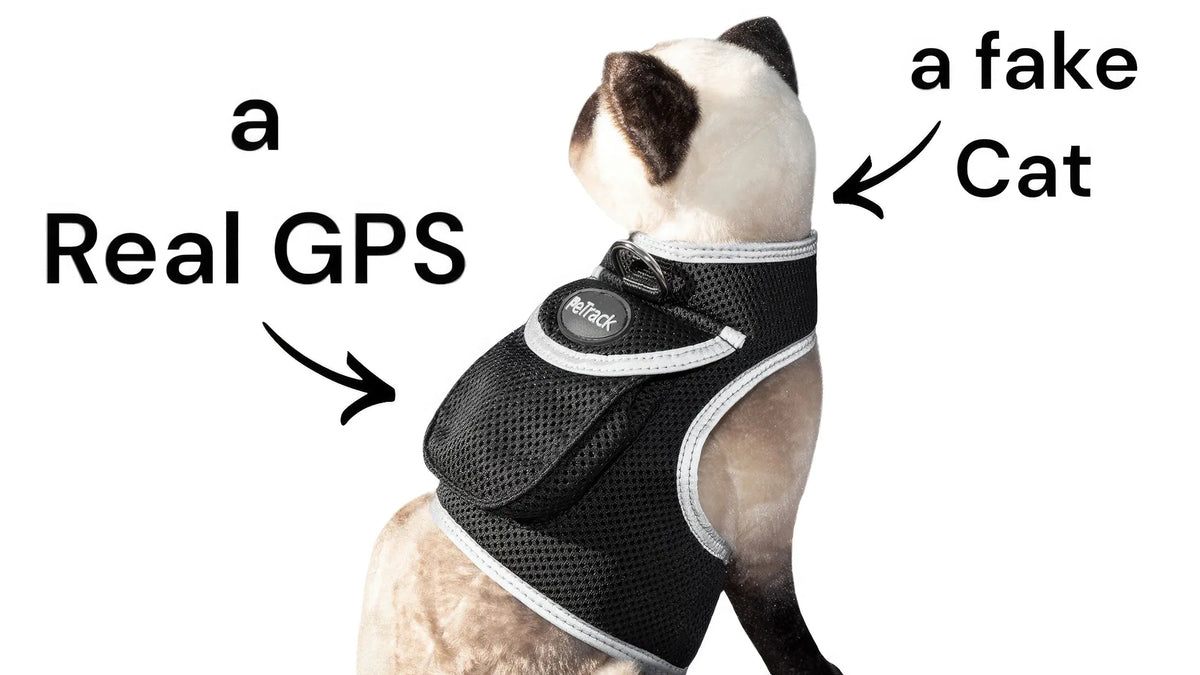 AEELLEEA Real-Time GPS Dog Tracker Harness, IP66 Waterproof, Lightweight 6 oz, Geo-Fence & Battery Alerts, Dog & Cat, Size L, Plan Required