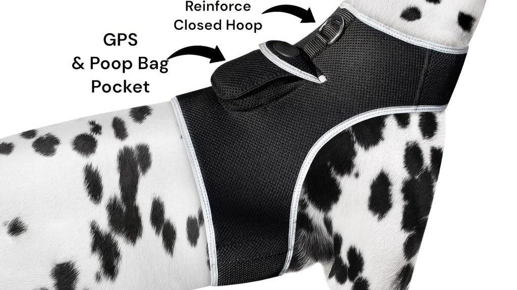 AEELLEEA Real-Time GPS Dog Tracker Harness, IP66 Waterproof, Lightweight 6 oz, Geo-Fence & Battery Alerts, Dog & Cat, Size L, Plan Required