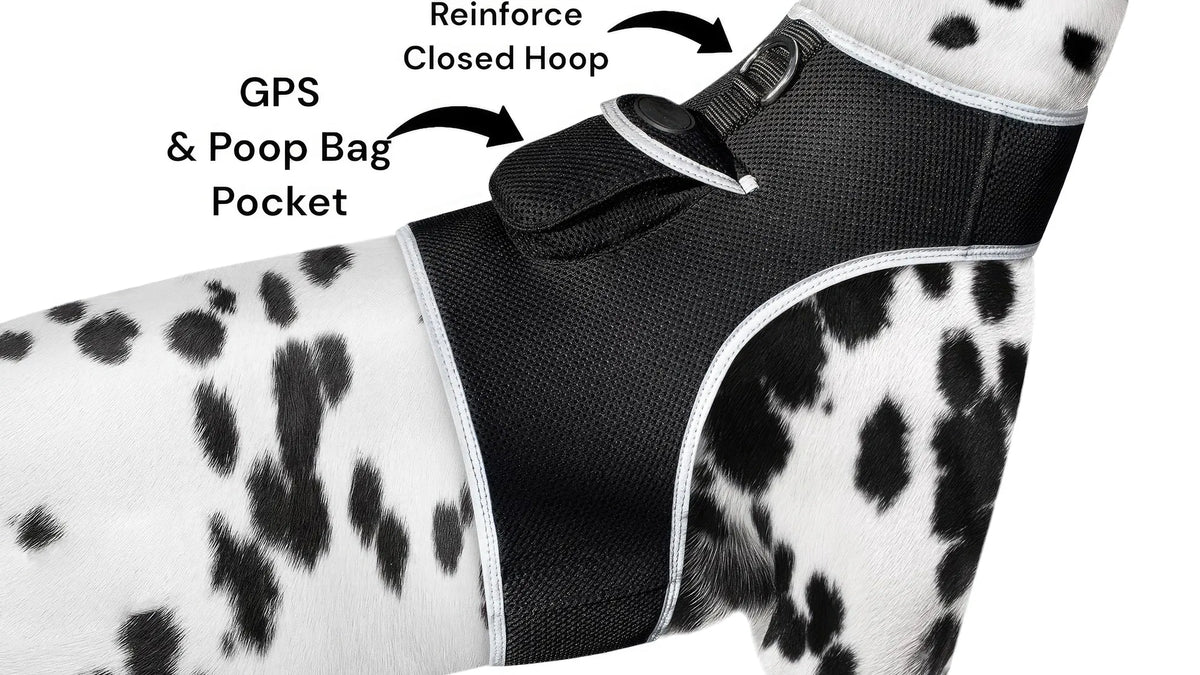AEELLEEA Real-Time GPS Dog Tracker Harness, IP66 Waterproof, Lightweight 6 oz, Geo-Fence & Battery Alerts, Dog & Cat, Size L, Plan Required