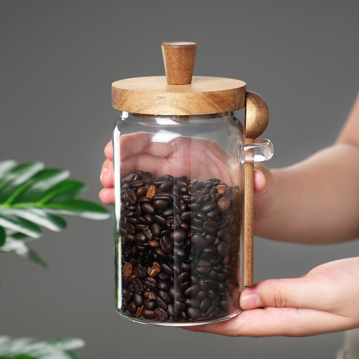 Aeelleea 18.5oz Glass Coffee Jar with Spoon, Airtight Storage for Candy Tea Snacks Seasoning