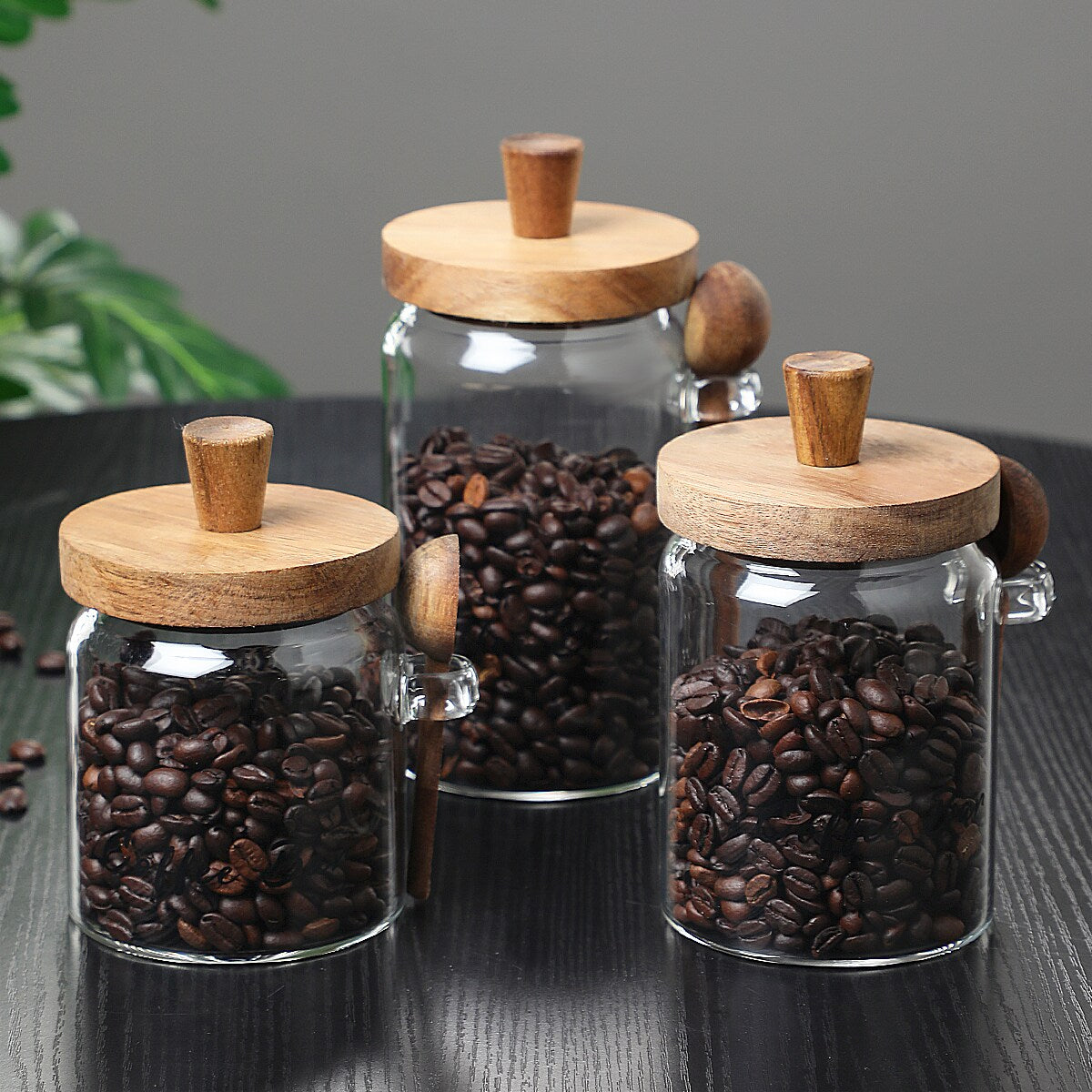 Aeelleea 18.5oz Glass Coffee Jar with Spoon, Airtight Storage for Candy Tea Snacks Seasoning