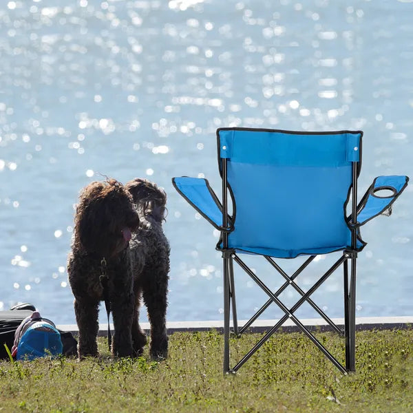 Portable Folding Camping Chair 31.5×19.7×19.7in, 600D Oxford Steel Frame, 230lbs Load, Outdoor Beach Fishing Chair with Carry Bag