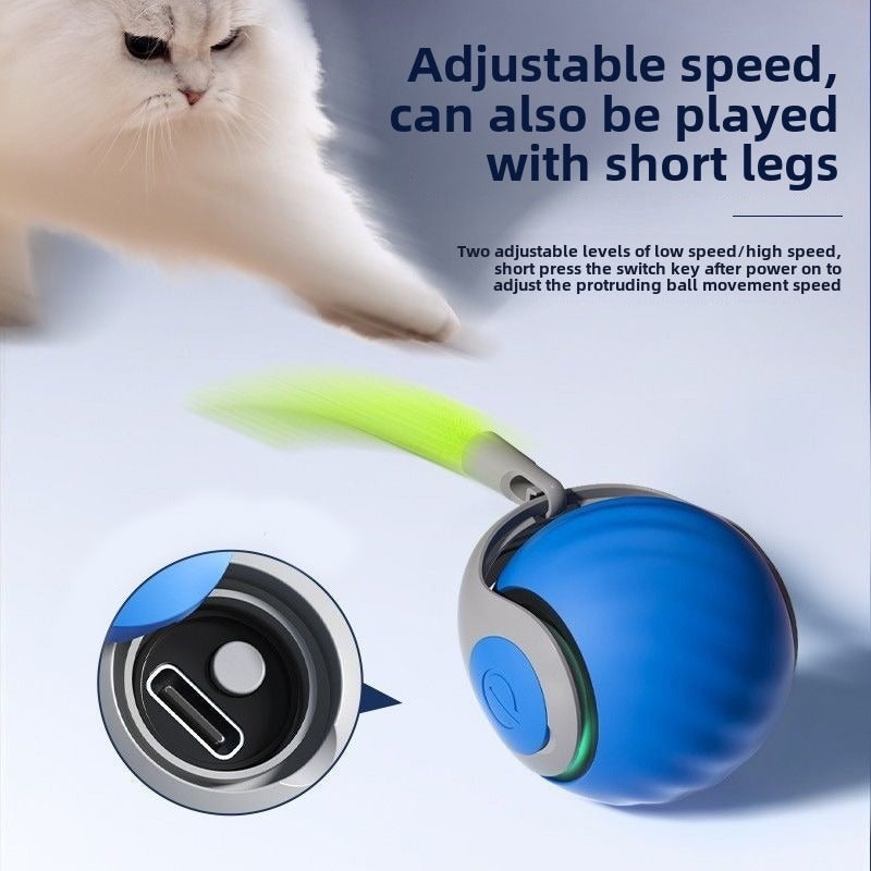 AEELLEEA-Automatic Rolling Pet Toy Ball, Interactive Cat Play Ball, TPR Bite Resistant Toy for Cats Small Dogs