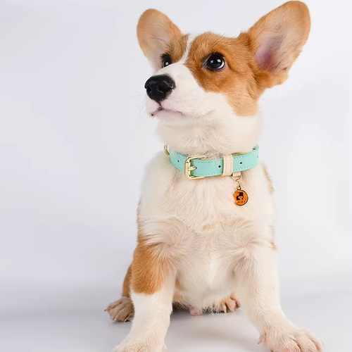 Soft Genuine Leather Adjustable Dog Collar - Lightweight & Durable Pet Accessory for Small to Large Dogs