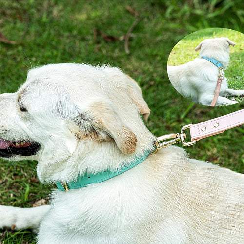 Soft Genuine Leather Adjustable Dog Collar - Lightweight & Durable Pet Accessory for Small to Large Dogs