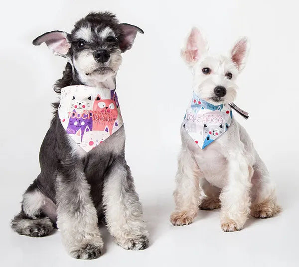 Aeelleea Head-Popper Printed Velcro Dog Bandana, Adjustable Cute Pet Scarf for Small Medium Dogs, Machine Washable Pet Neck Accessory