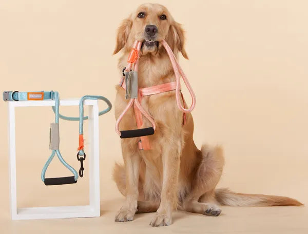 Dog Harness and Leash Set, Adjustable Nylon Walking Harness with Comfort Grip Handle, Pink