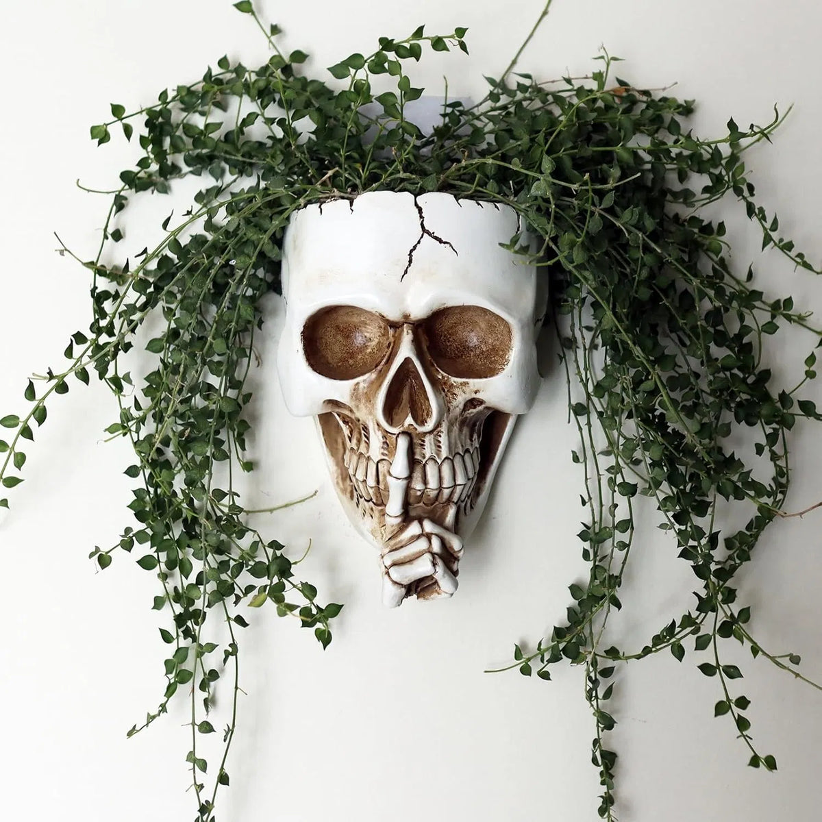 Don't Speak Skull Wall Planter, Resin Face Vase, Indoor Outdoor Plants, 7 Inch Gothic Halloween Decor with Drainage, White