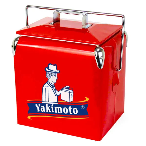 AEELLEEA 14 Quart Retro Metal Cooler Box with Bottle Opener, Portable Insulated Ice Chest for Camping Beach Outdoor Party