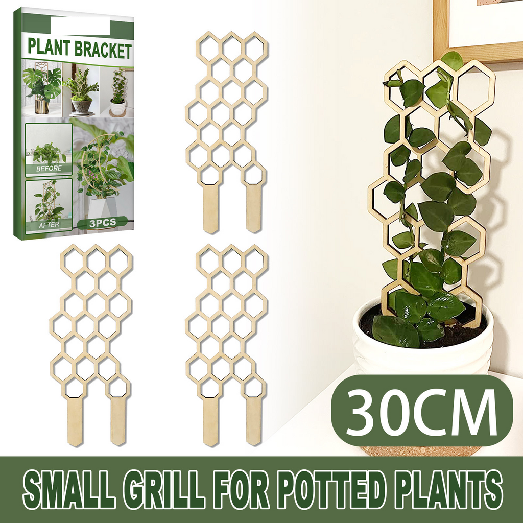 Wooden Plant Trellis, Honeycomb Shape Potted Plant Support Stake, Indoor Climbing Vine Holder for Houseplants Home Garden Decor