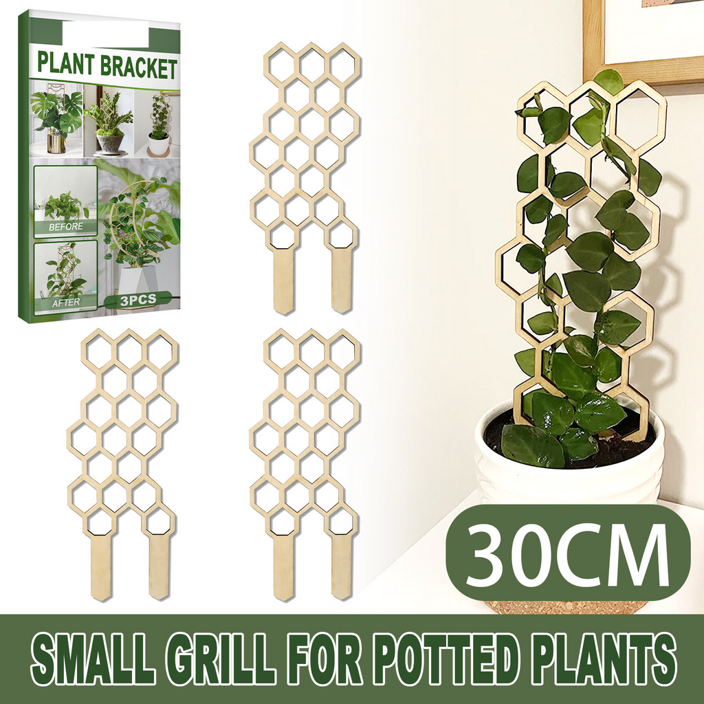 Wooden Plant Trellis, Honeycomb Shape Potted Plant Support Stake, Indoor Climbing Vine Holder for Houseplants Home Garden Decor