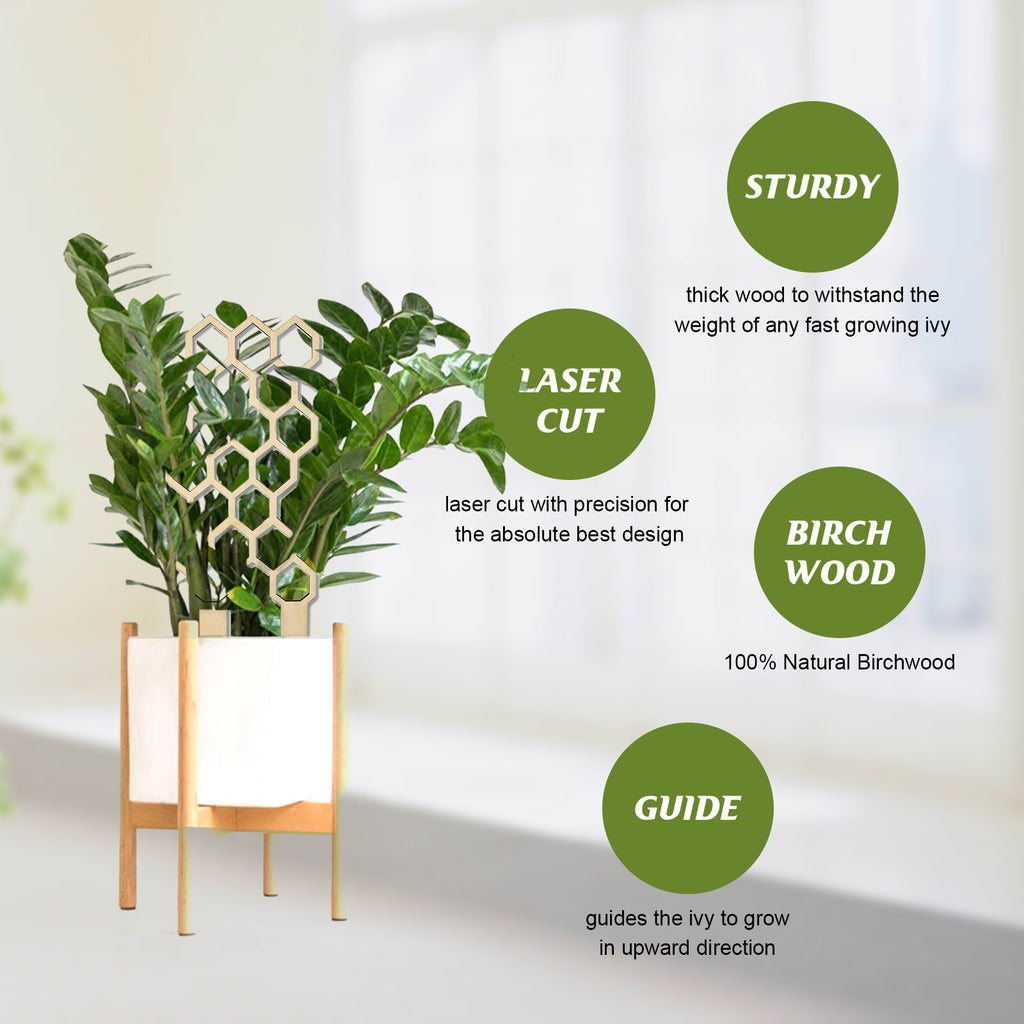Wooden Plant Trellis, Honeycomb Shape Potted Plant Support Stake, Indoor Climbing Vine Holder for Houseplants Home Garden Decor