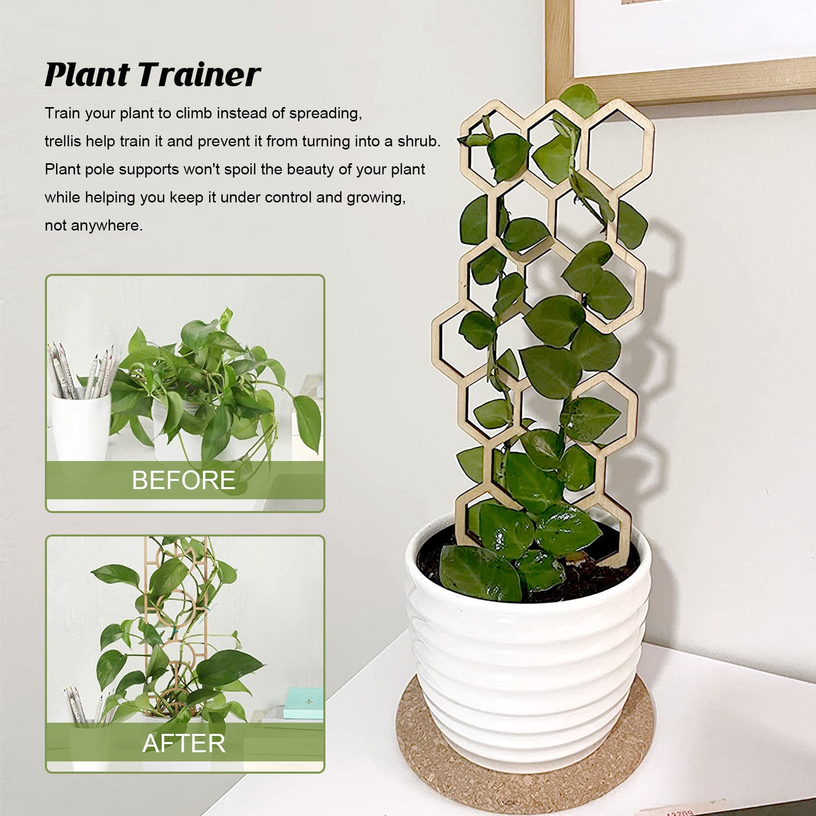 Wooden Plant Trellis, Honeycomb Shape Potted Plant Support Stake, Indoor Climbing Vine Holder for Houseplants Home Garden Decor