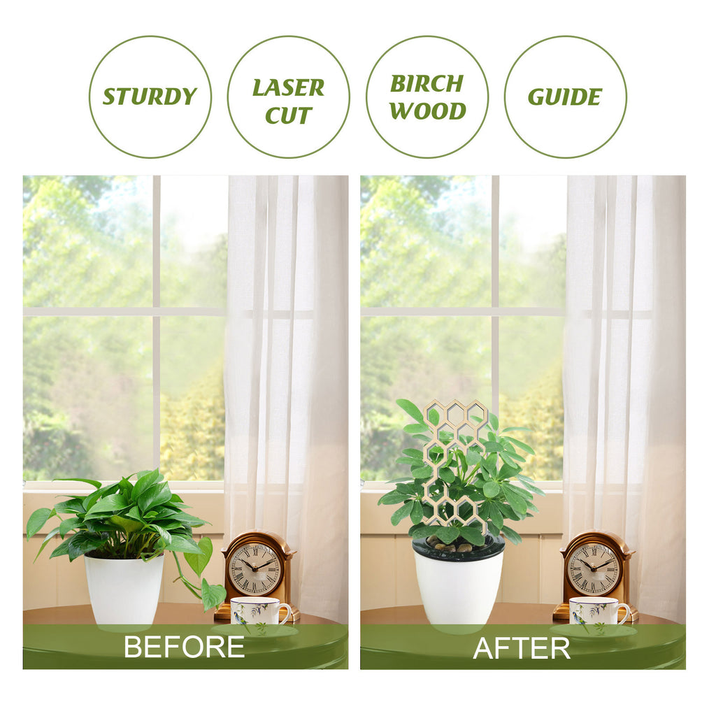 Wooden Plant Trellis, Honeycomb Shape Potted Plant Support Stake, Indoor Climbing Vine Holder for Houseplants Home Garden Decor